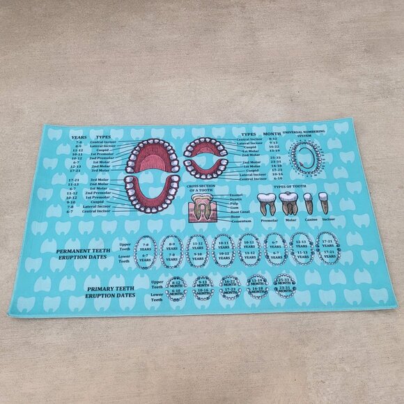 Orthodontist Chart Area Rug Dentist Mat - Picture 12 of 13